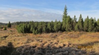 IMG_3691.jpg, 25kB